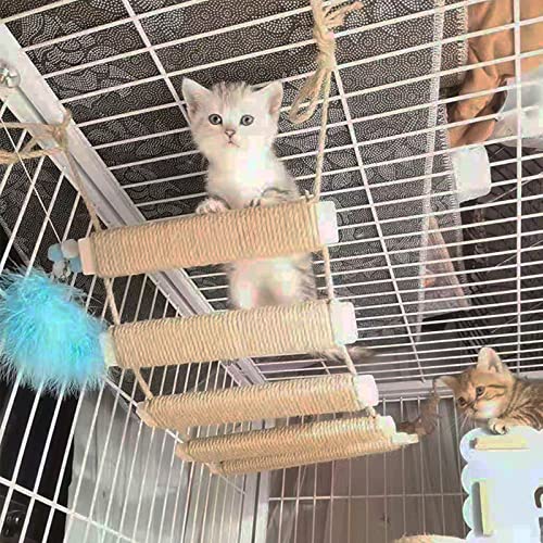 Cat Climbing Kit (40in)