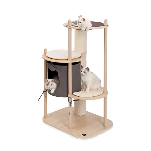 Vesper Treehouse (Medium)