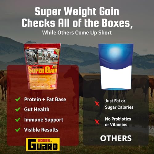 Super Weight Gain 10 lb (10 Pounds)
