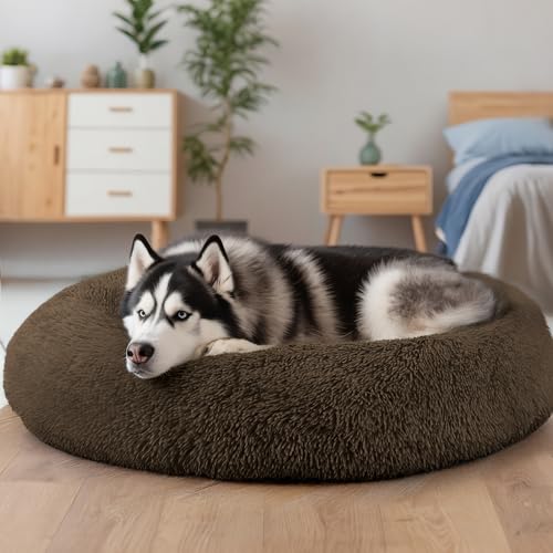 Extra Large Dog Beds (Coffee / 36.0"L x 36.0"W x 8.0"Th)
