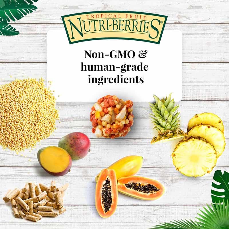 Tropical Fruit Nutri (5 Ounce (Pack of 2))