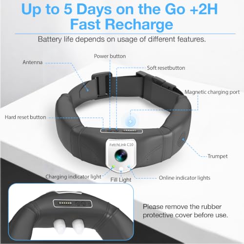 GPS Wireless Dog Fence No Subscription