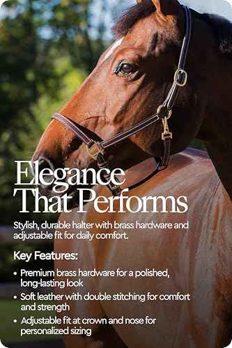 Fremont Soft Synthetic Leather Horse Halter (Brown / Shetland)