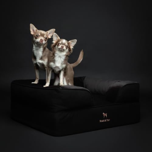 Dog Bed Orthopedic Memory Cooling Foam (Black - DE / Medium)