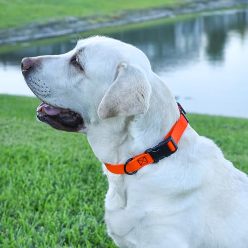 Biothane Waterproof Dog Collar with Quick Release Buckle Strong Coated Nylon Webbing with Odor (3/4"W by 12-19"L / Hunter Orange)