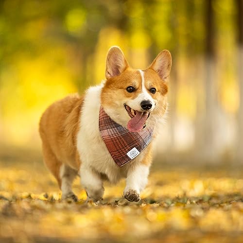 Fall Dog Bandanas Matching Dog Bandana and Scrunchie Small (01-brown orange-plaid / Small)