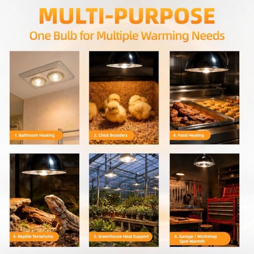 250W Clear Heat Lamp Bulbs (White / 1 Pack)