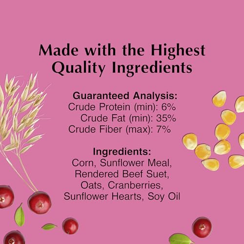 Cranberry Delight No Melt Suet Dough (1.47 Ounce (Pack of 8) / Cranberry, 8 Pack)