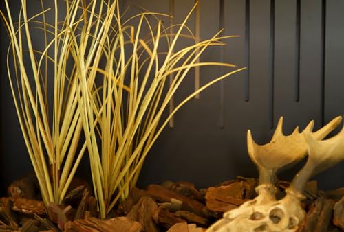 Fake Desert Dry Grass Fake Plants Bearded Dragon Terrarium Decor (Fake Desert Dry Grass)