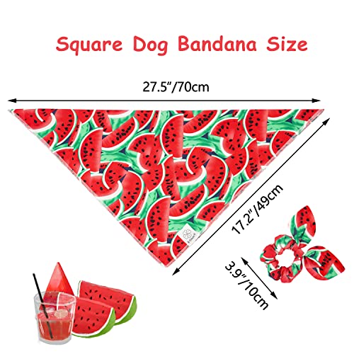 Summer Dog Bandanas Girl Matching Dog Bandana and Scrunchie Large (watermelon / Large-set of 1)