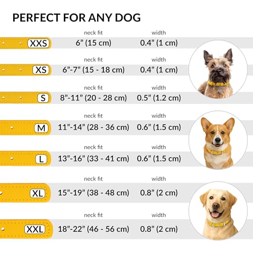 Tangle Free Rolled Leather Dog Collar