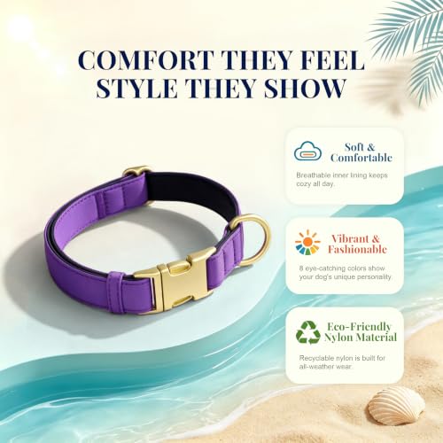 Soft Padded Dog Collar for Medium Dogs (Purple / M：Fit 14-18" Neck, Width ¾")