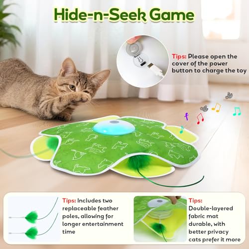 Interactive Cat Toys with Moving Feather Concealed in Mat