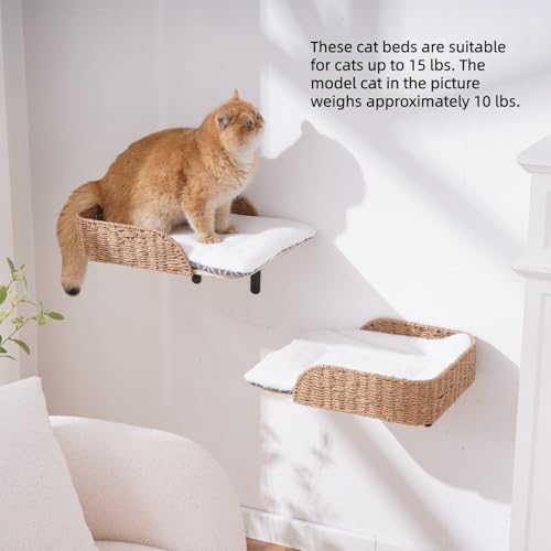 2 Pack Wall Mounted Cat Bed Perch (F)