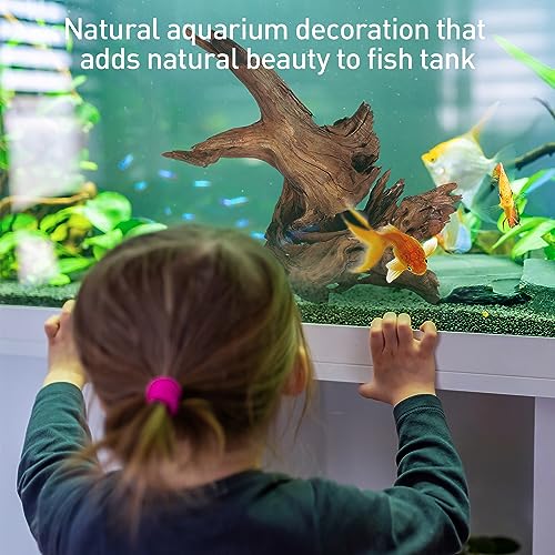 3 PCS Natural Driftwood for Aquarium Decor Fish Tank Decorations (Mopani driftwood （7-11 inch pack of 3）)