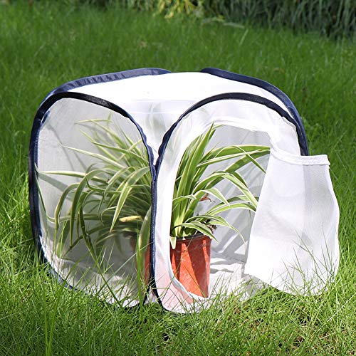 Insect and Butterfly Habitat Cage Terrarium Pop (White With Black / 12 x 12 x 12 inches)