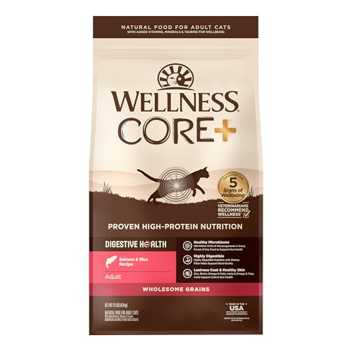 CORE+ Digestive Health Adult Dry Cat Food (11 Pound (Pack of 1))