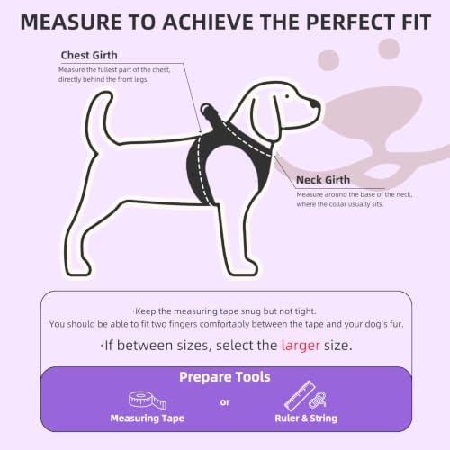 Dog Harness Collar and Leash Set No Pull for Small Medium Sized (Purple / XL (CHEST 20"-22"))