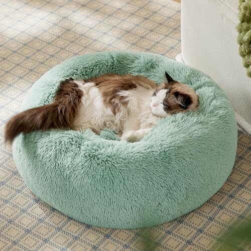 Calming Cat Beds Donut Round Washable Kitten Bed (20"L x 20"W x 6"Th / Apple Green)
