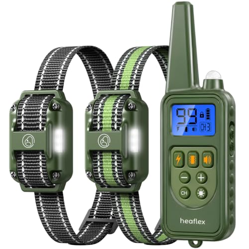 Dog Shock Collar (for 2 dogs (D8 Green))