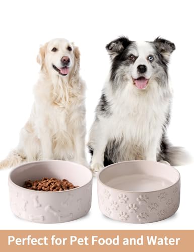 Ceramic Dog Bowl Set of 2 (6.1 in-Medium)