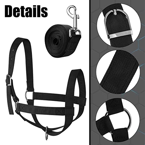 Cow Halter Adjustable with Leading Rope (Medium / Black)