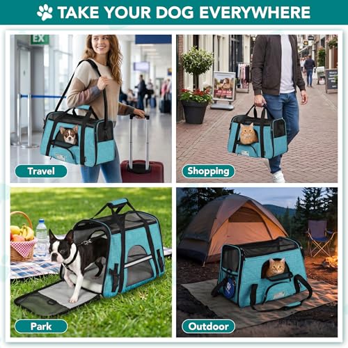 Airline Approved Pet Carrier for Cats Small Dogs (Heather Blue / 17.0"L x 10.2"W x 11.2"H)