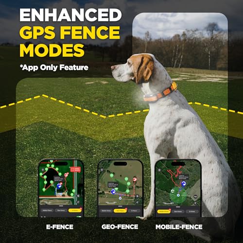 PATHFINDER2 Compass Live GPS Dog Tracking & Training System (Pathfinder 2 Compass / 35 lbs and up)