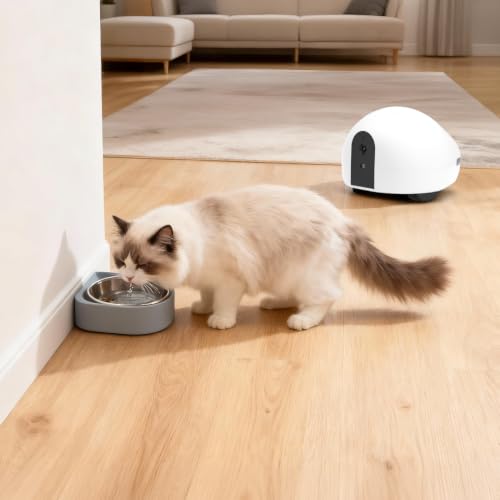 Pet Camera Robot with Treat Dispenser & Laser (White)