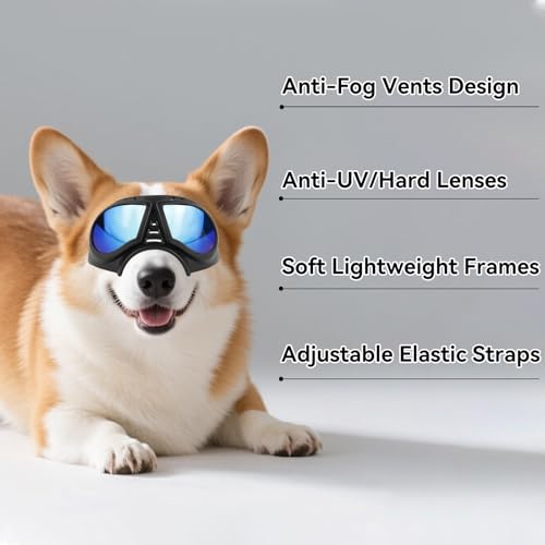 Small Dog Goggles Windproof for Small (Blue Lenses / Medium)
