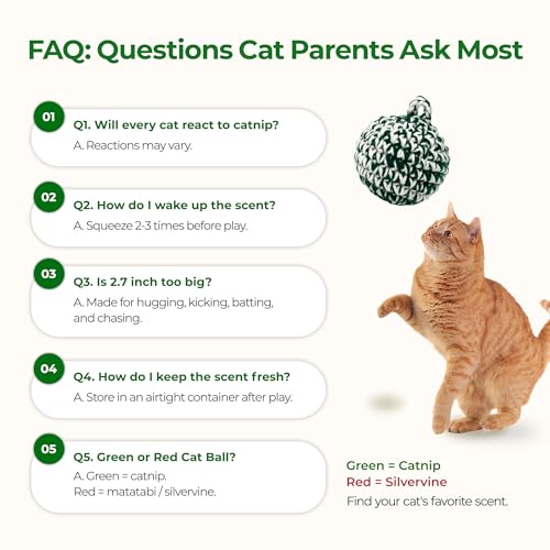 Green Cat Ball (Green W/O Bell / 2.7inch)