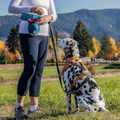 3 in 1 No Pull Dog Harness