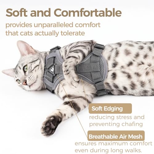 Cat Harness and Leash Set (Grey / Large)
