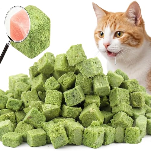 Cat Grass Treat Indoor 60g (2.12 Ounce (Pack of 1))