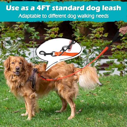 Two Point Control Dog Leash (Orange)