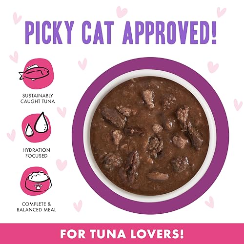 B.F.F. OMG Best Feline Friend Oh My Gravy! (2.8 Ounce (Pack of 12))