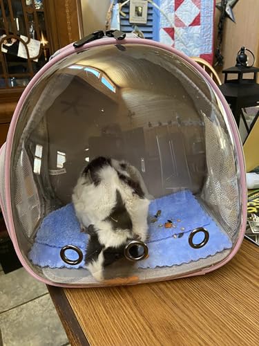 Hamster Backpack Carrier (Blue)