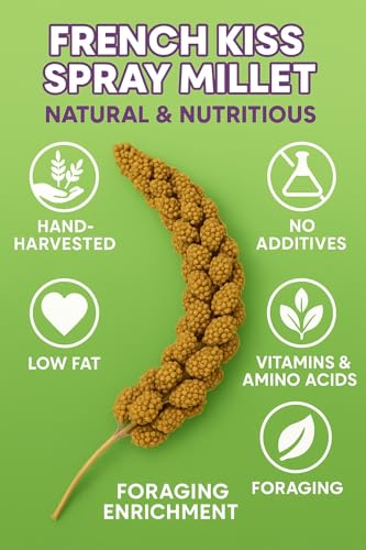25lbs French Kissed Spray Millet for Birds (25lb)