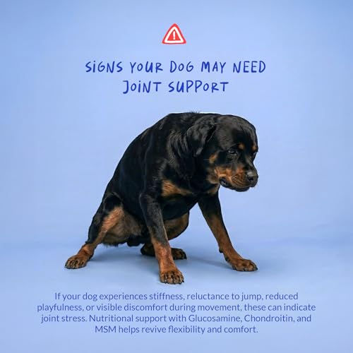 Hip and Joint Supplement for Dogs
