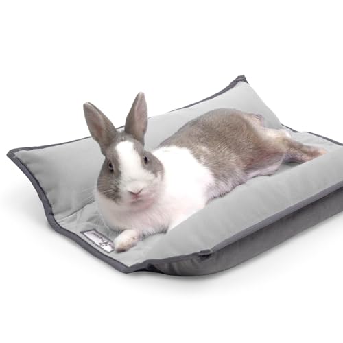 Snuggle Bunny Bolster Bed (Gray/Light Gray)