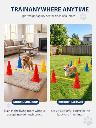 Dog Agility Training Hurdle Cone Set