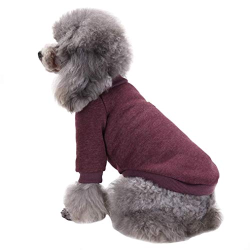 Dog Sweaters for Small Dogs (Brown / Medium)
