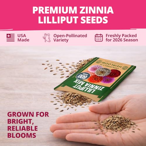 Zinnia Seeds Lilliput Mix