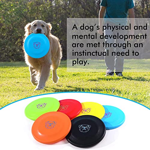 Dog Flying Disc (Blue & Green & Orange)