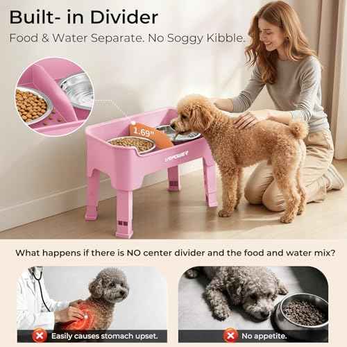 Mess Proof Elevated Dog Bowls (Pink / Small)