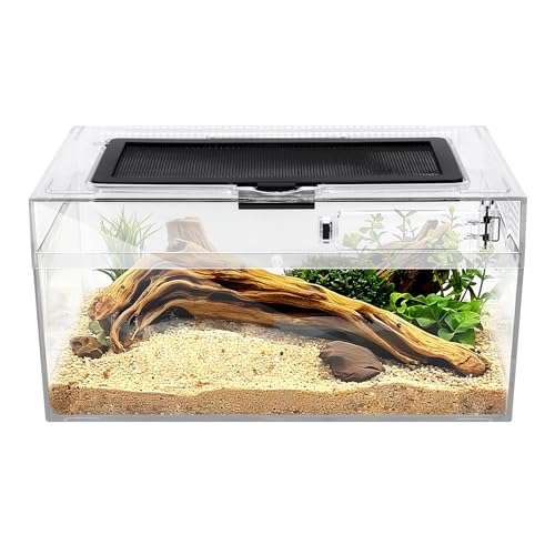 Reptile PC Terrarium Amphibian Tank Spider Enclosure Snake Cage 7x11.8x5.9inch Suitable for breeding Leopard Gecko (Transparent / XLarge)