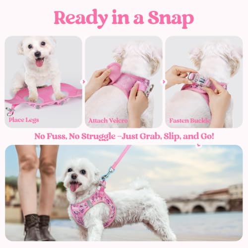 Dog Harness Small Sized and Leash Set (Pink Floral / Xs (chest: 13.3 - 15.5"))