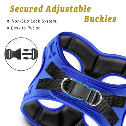Comfort Fit No Pull Dog Harness (M (Chest 17"-18.5") / Blue)