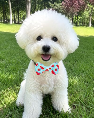 10 Pack Daily Dog Bowties for Small Dogs Sliding on Collar (S/M)