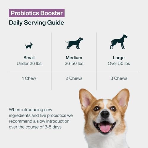 Probiotic Booster Supplements for Dogs (Probiotic Booster)